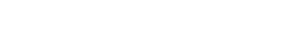 Volkswagen Audi Skoda